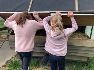 Dandelion Time 2 girls seen from behind